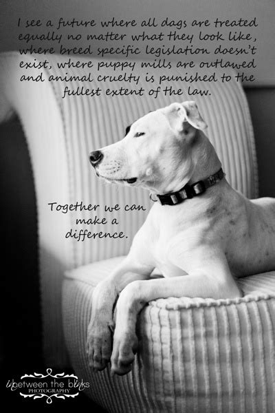 Pitbull Dogs Quotes Inspirational Quotesgram