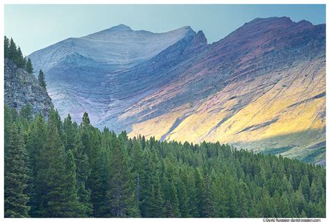 Wilbur Mountain Swiftcurrent Lake Glacier National Park Montana