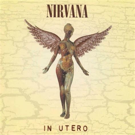 pin by the hitman randy howley on album cover art nirvana album cover rock album covers