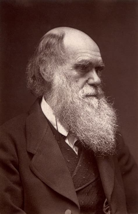 Darwin Wikipediacommons776darwin John