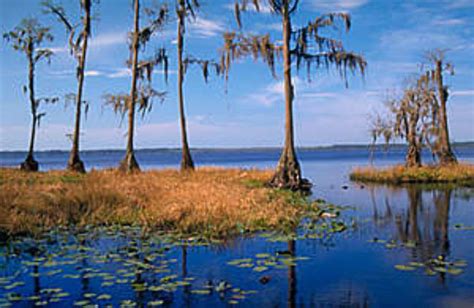 Osceola National Park Lake City United States Of America Top
