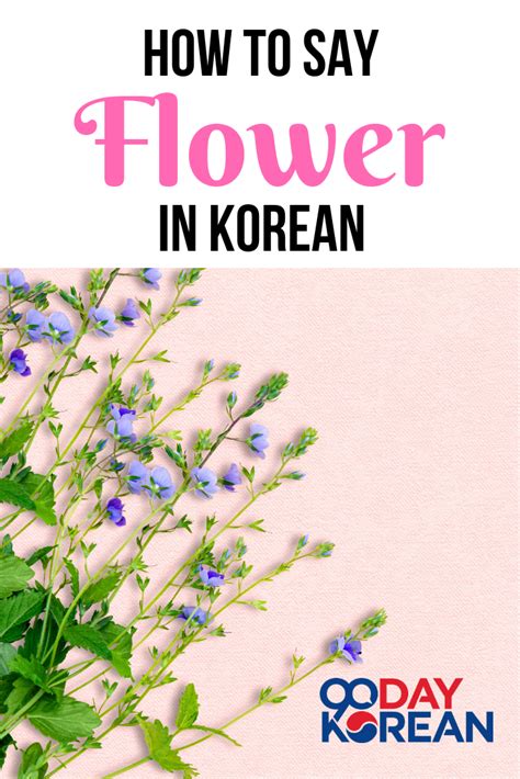 We support multiple languages, so you can change to other languages by clicking on on the player, choose cc. How to Say 'Flower' in Korean | Korean language, Learn ...
