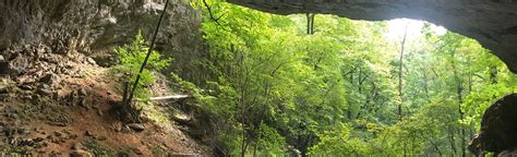 Buggytop Trail To Lost Cove Cave 603 Reviews Map Tennessee Alltrails