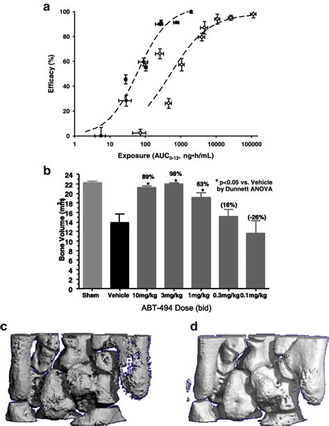 Preclinical Efficacy Of Upadacitinib In Rat Adjuvant Induced Arthritis Download Scientific