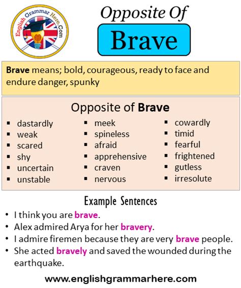 Opposite Of Brave Antonyms Of Brave Meaning And Example Sentences