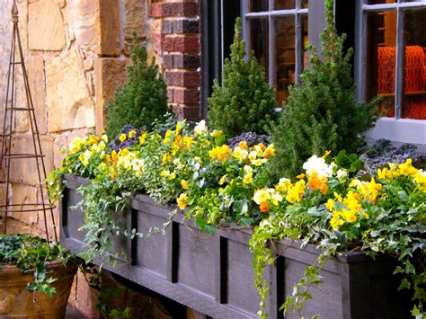 Wood may not be the best choice for flower window boxes and planters, but it's hard to beat the look. P O T A G E R: Window Box How To: What is the Recipe?