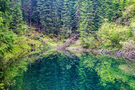 Mountain Wild Lake Stock Image Image Of Carpathian 142709969