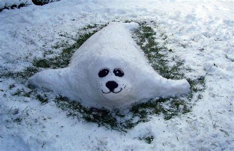 Tywkiwdbi Tai Wiki Widbee Seal Pup Snow Sculpture