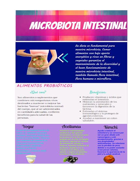 Infografia De La Microbiota Intestinal Con Alimentos Que Debes