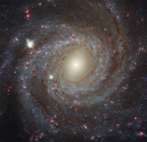 Apod 2018 April 13 Facing Ngc 3344