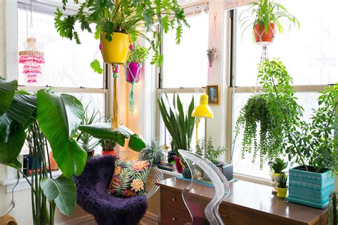 Hanging Plants From Tension Rod Renters Solution Apartment Therapy