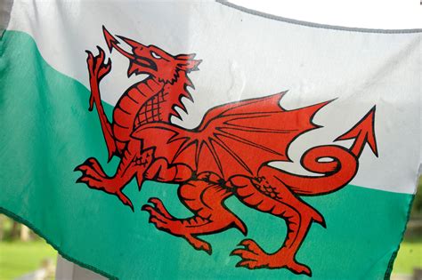 Wales Flag Wales Flag X Ft Indoor Display Or Parade Flag Any Flag With Pole Sleeve