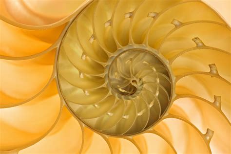Spiral The New Manager Death Spiral Rands In Repose A Spiral Is A