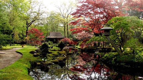 Photos of japanese garden & landscaping ideas including small asian gardens, designs with rock a japanese garden plants list contains azaleas, snow blossoms, grasses, cherries, bamboo, and pines. Top Japanese Landscaping Garden - Top Easy Backyard Garden Decor Design Project - HoliCoffee