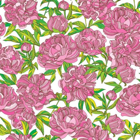 Peony Flowers Seamless Vector Pattern Stock Vector Image 63085214