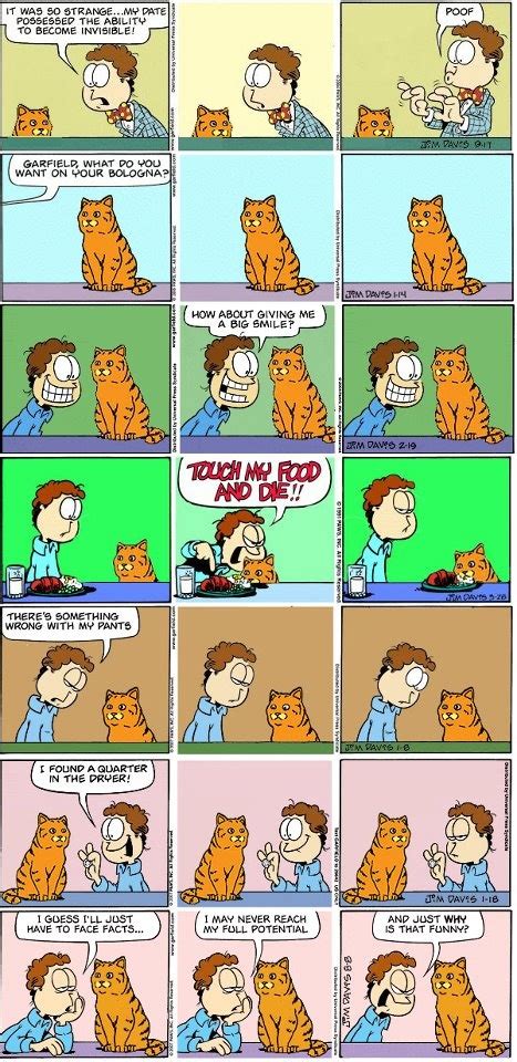 Garfield In Real Life Funny Memes Garfield Memes