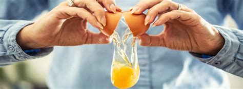 Are Egg Yolks Bad For You Life Extension
