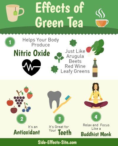 Green tea is made from unoxidized leaves and is one of the least processed types of tea. Green Tea Side Effects Are The Secret of Buddhist Monks