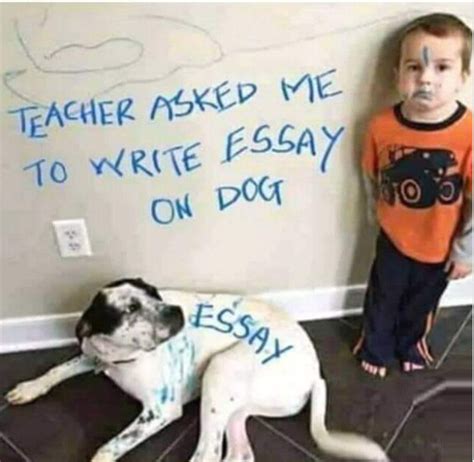Write An Essay On Dogs Dog Essay Essay Funny Quotes