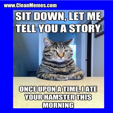 Just look at this funny clean cat memes and you will understand everything. Pin by Clean Memes on Clean Memes | Cat quotes funny