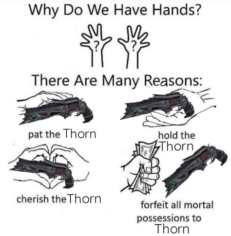 Why Do We Have Hands There Are Many Reasons Pat The Thorn Hold The