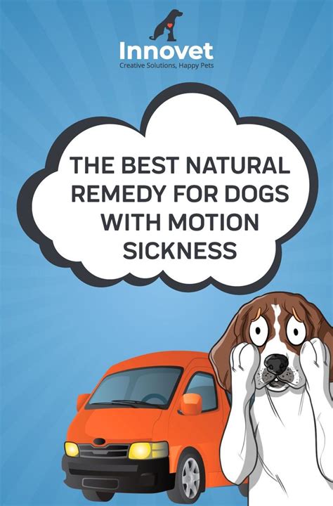 The Best Natural Remedy For Dogs With Motion Sickness Dog Remedies