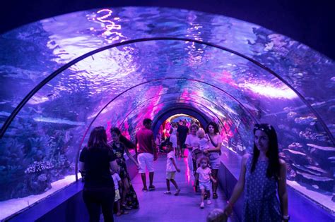 Aquarium Seaquest Galleria Mall Fort Lauderdale