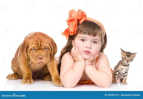 Girl With Pets Dog And Cat Isolated On White Background Stock Photo