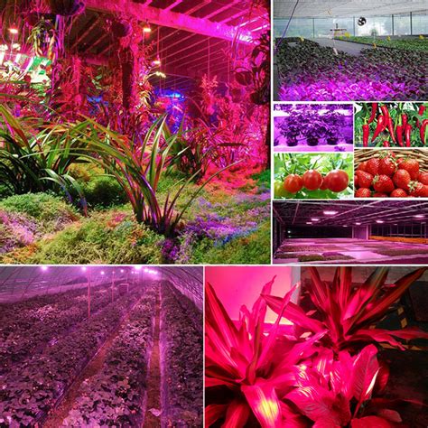 From the mixed spectrum you can chose to target shorter plant height or higher growth rate. 3000W 100 LED Grow Light Full Spectrum DIY Spectral Ratio ...