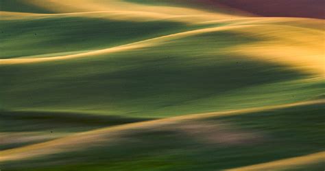 Creating Compelling Images Landscapes And Floral In Bandw And Icm Out Of