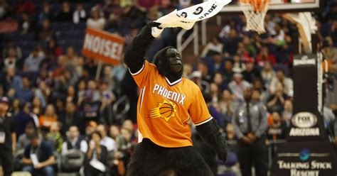 The visiting in the first minute of the final quarter, the gorilla was seen sliding on the court during the middle of a play, much to the surprise of a wizards player nearby. Suns Gorilla busted for fighting in strip club in fake Onion story.