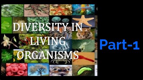Diversity In Living Organisms All Important Mcqs Youtube