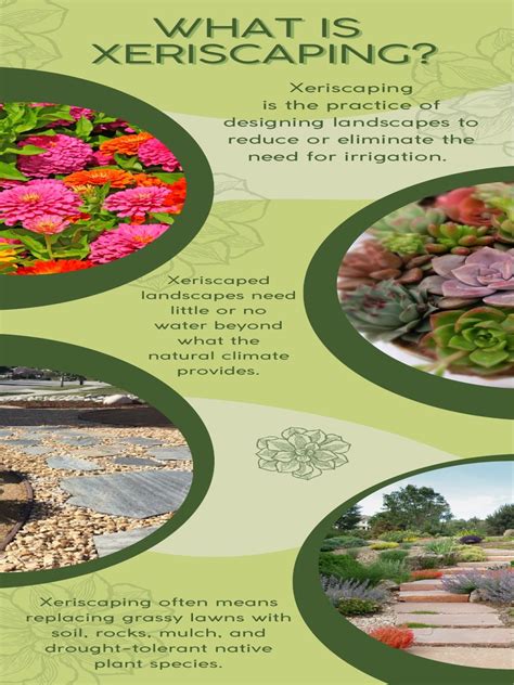 What Is Xeriscaping Pdf