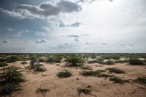 Overcoming The Drought In Ethiopia By Iom Un Migration Medium