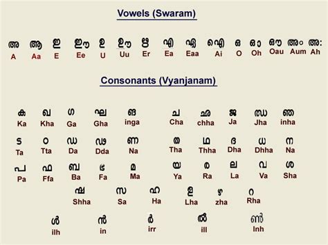 Malayalam Alphabets Writing Practice Worksheets Pdf Kidsworksheetfun