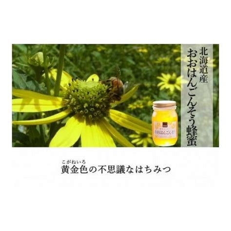 ふるさと納税 岐阜県 大野町 味比べ国産 百花蜂蜜・おおはんごんそう蜂蜜（各600g×1本） 4761624ふるさとチョイス 通販