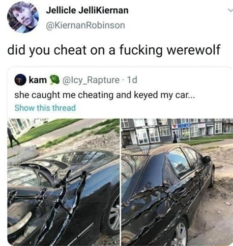 Did You Cheat On A Fucking Werewolf Kam Lcyrapture She Caught Me Cheating And Keyed My Car