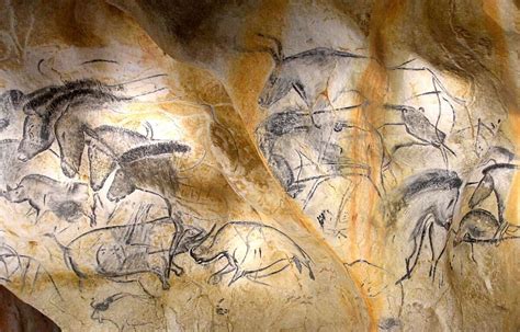 Paléolithique Ce Que Les Peintures Rupestres Animalières Nous Disent