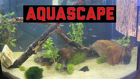 I Aquascaped My 25 Gallon Fish Tank Youtube