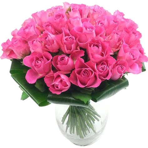 Luxury 50 Pink Roses Fresh Flower Bouquet Collection Of Beautiful Pink Roses Hand Arranged By
