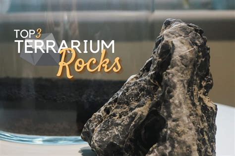 5 Visually Stunning Terrarium Rocks For Creative Planting