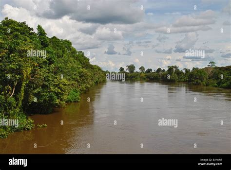 Sassandra River Flowing Through Rain Forest In Ivory Coast West Africa