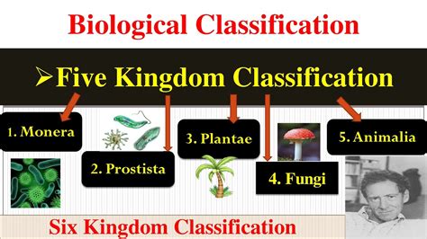 Biological Classification Five Kingdom Classification Six Kingdom