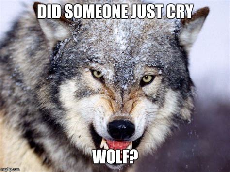 Wolf Imgflip