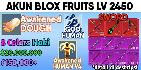 Blox Fruits Account Blox Fruits Awaken Race Angel V4 Awakened Race