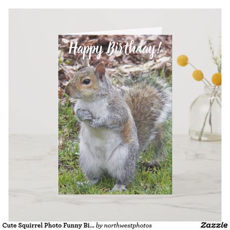 Cute Squirrel Photo Funny Birthday Card Zazzle Cute Squirrel Funny