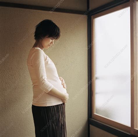 Pregnant Woman Stock Image M805 1090 Science Photo Library