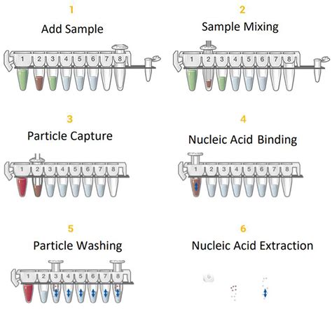 dna purification dna extraction methods promega