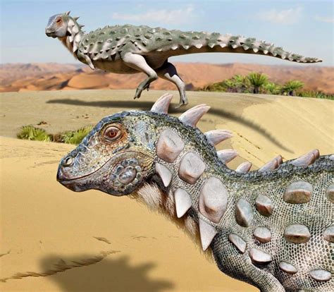 Remains Of Small Armour Plated Dinosaur Discovered In Argentina