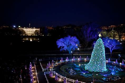 P120910lj 0160 White House Christmas White House Christmas Tree
